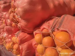 پرتقال بمی گونی (20کیلوگرم)