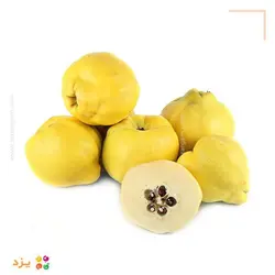 تست