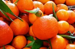 نارنگی
