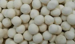 کشک(دهج کرمان)