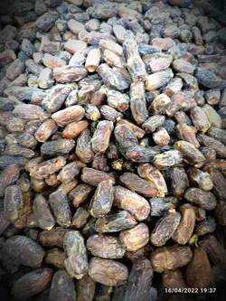 خرما پیاروم درجه(۲)