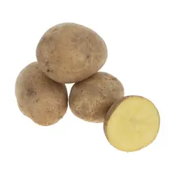 سیب زمینی کهنه