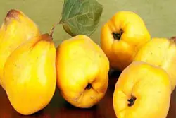 به کوهستانی(درجه1)