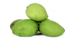 چغاله زرد آلو