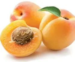 زردآلو