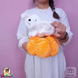 عروسک کدو تنبل حیوانی