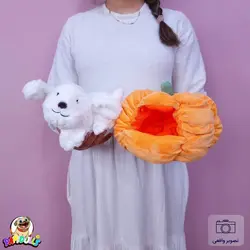 عروسک کدو تنبل حیوانی