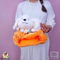 عروسک کدو تنبل حیوانی