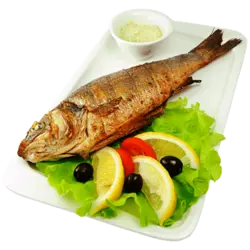 قزل آلا رودخانه (تازه)