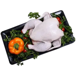مرغ بزرگ