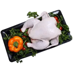 مرغ کوچک (اکبرجوجه)