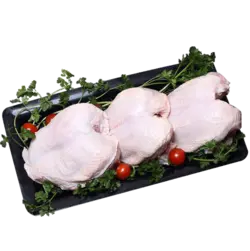 سینه مرغ