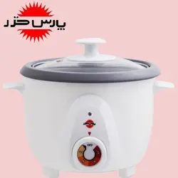 پلوپز تایمر دار دونفره RC_61Tyan - فروشگاه لوازم خانگی پارس سرا