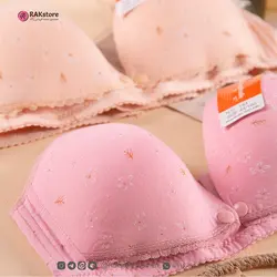 سوتین اسفنجی شیردهی زنانه