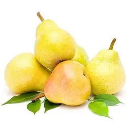 گلابی