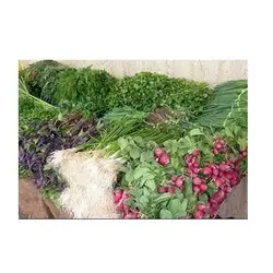 سبزی خوردن محلی