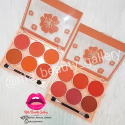پالت رژگونه micolor