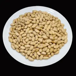 سویا بو داده