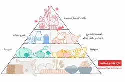 برنج هندی شاهپخت - کیسه 10 کیلوگرمی