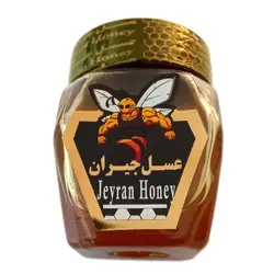 عسل جیران - 500 گرم