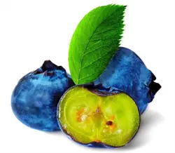 بلوبری درجه یک - مقدار 125 گرم