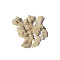 زنجبیل تازه درجه یک - 500 گرم