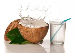 نارگیل درجه یک - 1 عدد