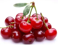 آلبالو درجه یک - 1 کیلوگرم