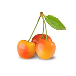 گیلاس سفید درجه یک - 1 کیلوگرم
