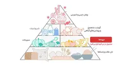 لواشک آلو خشکپاک - 90 گرمی