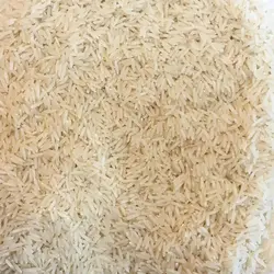 برنج ایرانی طارم هاشمی مژده - کیسه 5 کیلوگرمی