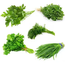 سبزی قورمه منجمد ب.آ - مقدار 400 گرم