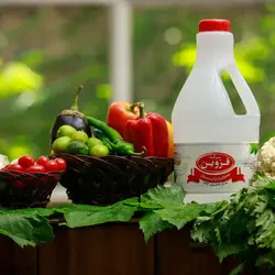 سرکه سفید سرکه قزوین - حجم 3 لیتر