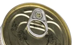 کنسرو لوبیا چیتی با قارچ شیلانه - مقدار 380 گرم