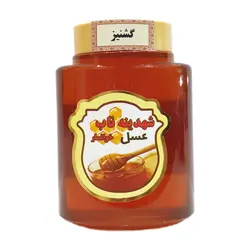 خرید عسل گشنیز