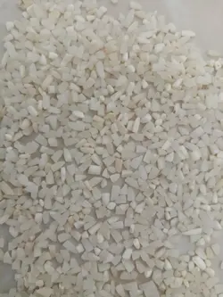 نیم دانه شیرودی (خرید مستقیم از کشاورز)