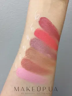 رژگونه مات حرفه ای آسترا