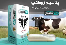 بلوس پتاسیوم (بسته ی 12 عددی)