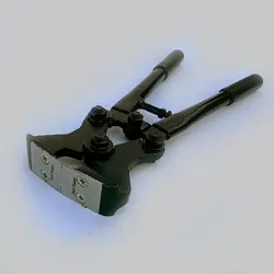 سم چین گاوی