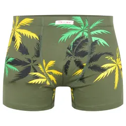 ست شورت و زیرپوش تارادیس (95%پنبه 5%لاکرا)