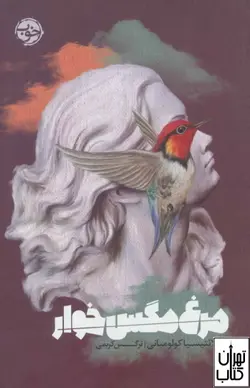 کتاب مرغ مگس خوار اثر لائتیسیا کولومبانی نشر خوب