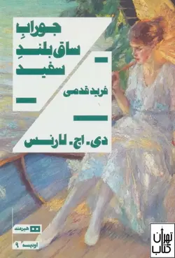 کتاب جوراب ساق بلند سفید اثر دیوید هربرت لارنس نشر هیرمند