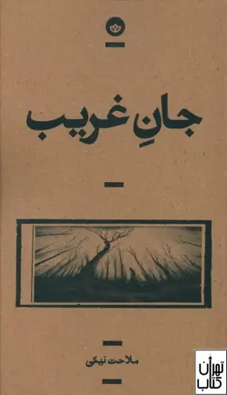 کتاب جان غریب اثر ملاحت نیکی نشر بان