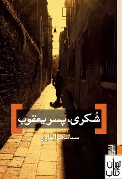 کتاب شکری پسر یعقوب اثر سیامک ایثاری نشر برج