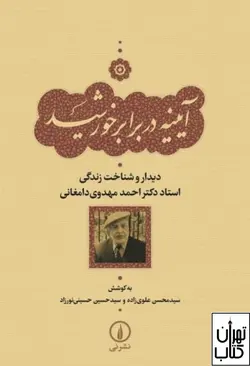 کتاب آیینه در برابر خورشید اثر مجموعه نویسندگان نشر نی