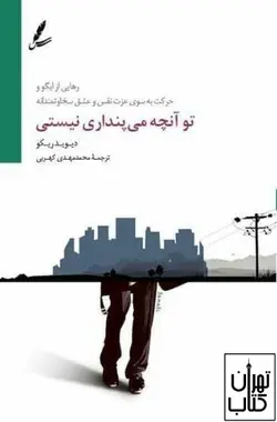 خرید کتاب تو آنچه می پنداری نیستی اثر دیوید ریکو نشر سایه سخن