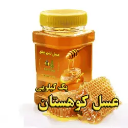 عسل طبیعی کوهستان یک کیلویی | تیم بینج عسل طبیعی کوهستان خوش طعم و خوشمزه