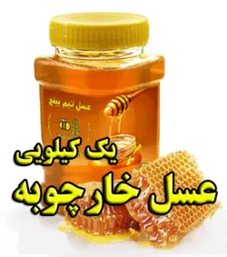 عسل طبیعی خارچوبه یک کیلویی | تیم بینج عسل طبیعی خارچوبه تیم بینج تقویت سیستم ایمنی