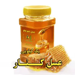 عسل طبیعی کنار یک کیلویی | تیم بینج عسل طبیعی کنار تیم بینج مخصوص تقویت قوای جسمانی