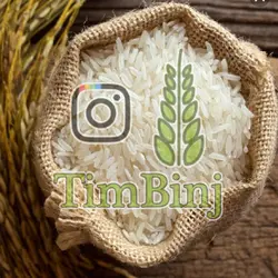 طارم محلی کشت اول | تیم بینج | طارم محلی کشت اول